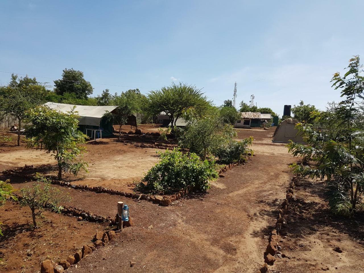 Kizumba Camp Site Hotel Manyara Eksteriør billede